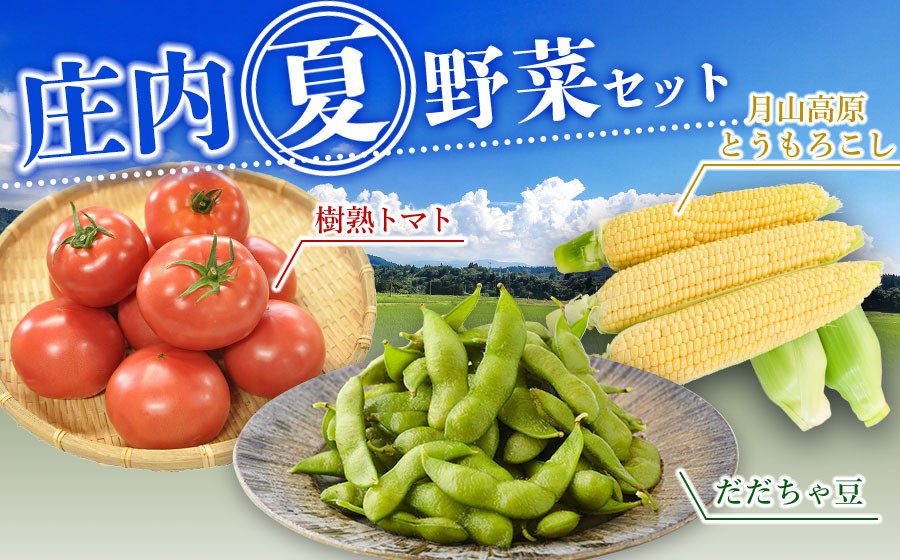 
            【令和7年産先行予約】庄内夏野菜セット　肉バルYAKU禄
          