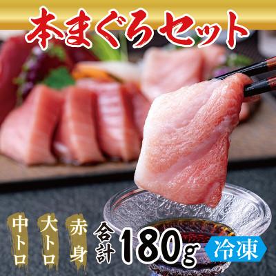 ふるさと納税 越前市 国産の本マグロ　大トロ・中トロ・赤身合計約180g(約50g/約70g/約70g)