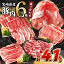 【ふるさと納税】《肉ランキングTOP10入》選べる配送月 数量限定 豚肉 6種 盛り合わせ セット 合計4.1kg 豚 小分け 豚バラ 豚ロース 豚こま 国産 食品 人気 おかず 焼肉 しゃぶしゃぶ 豚丼 食べ比べ 料理に大活躍 使い勝手抜群 ミヤチク 送料無料 レビューキャンペーン