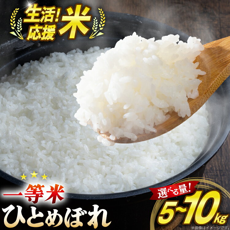 【ふるさと納税】 【選べる内容量】 米 生活応援米 宮城県産 ひとめぼれ 5kg / 10kg [菊武商店 宮城県 気仙沼市 20566338] お米 こめ コメ 白米 精米 ご飯 ごはん