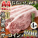 【ふるさと納税】おおいた和牛 サーロインステーキ (計800g・サーロインステーキ約200g×4枚+ステーキソース20g×4袋) 国産 牛肉 肉 霜降り 低温熟成 ステーキ A4 和牛 ブランド牛 BBQ 冷凍 大分県 佐伯市【DH63】【(株)ネクサ】