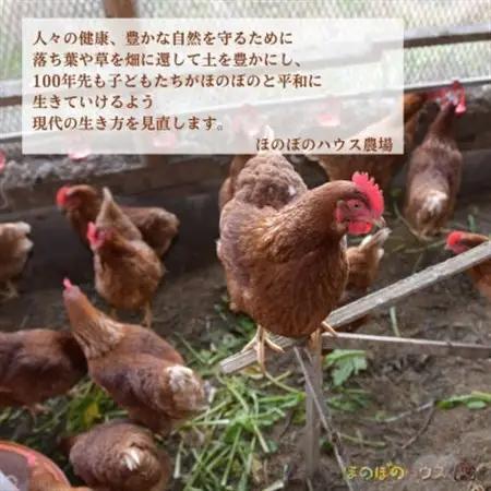 岡山美作の赤土台地でじっくり育てた季節の野菜約8種類と平飼い卵(6個入り)のセットです。_野菜 玉ねぎ  たまねぎ タマネギ  卵・乳製品 卵  たまご タマゴ 玉子  野菜 じゃがいも いも ジャガ