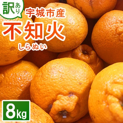 【先行予約 2026年1月下旬～発送予定 】 訳あり 不知火 計8kg 規格外 サイズ不選別(宇城市【1696060】
