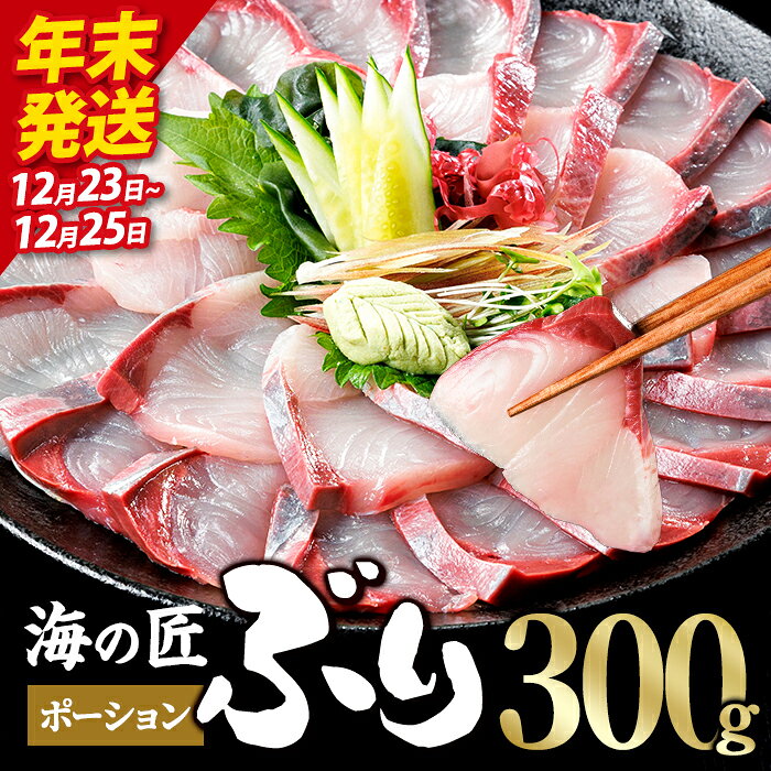【ふるさと納税】＼年末発送！先行予約／海の匠 ブリ ポーション (300g) ぶり 鰤 刺身 国産 魚 海産物 海鮮丼 ぶりしゃぶ 冷蔵 【JP001-1223】【三共物商】