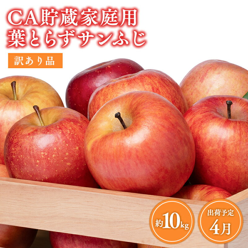 【ふるさと納税】≪4月発送≫青森県産 CA貯蔵 訳あり 葉とらず サンふじ 約10kg【 青森県 平川市 森山商店 】4月発送 家庭用 りんご リンゴ 林檎 フルーツ 平川 青森りんご サンふじ ふじ 葉とらず 家庭用 レビューキャンペーン