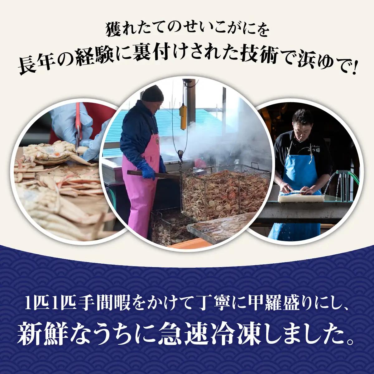 【先行予約】【訳あり】プチプチ食感の外子と濃厚な内子 せいこがに 甲羅盛  70～80g×3個（中大サイズ）【2026年11月中旬より発送予定】[A-007001]  