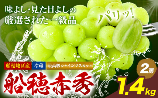 最高級 シャインマスカット【2025年先行予約】ぶどう 船穂赤秀 2房 1.4kg 岡山県産《9月上旬-11月中旬頃出荷(土日祝除く)》 ハレノフルーツ マスカット 送料無料 岡山県 浅口市 フルーツ 果物 贈り物 ギフト 国産 岡山県産【配送不可地域あり】