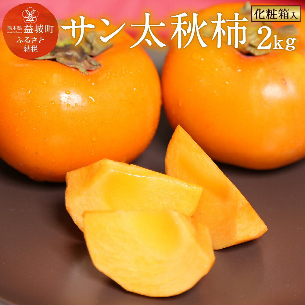 【ふるさと納税】サン太秋 約2kg 大玉5～6玉 柿 太秋柿 かき カキ 果物 フルーツ 九州産 熊本 化粧箱 ギフト 贈り物 送料無料【2025年10月下旬～12月上旬発送予定】