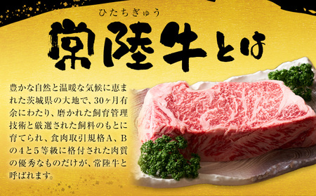 常陸牛黒毛和牛サーロインステーキ600g有限会社加治 肉のカジ《30日以内に出荷予定(土日祝除く) 》国産牛茨城県産【配送不可地域あり】（沖縄・離島）【茨城県共通返礼品】