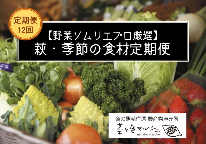 【ふるさと納税】【352047000601】野菜ソムリエプロselect／萩・季節の食材セット　定期便お試し1回コース