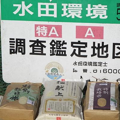 ふるさと納税 高山村 特別栽培米「ミルキークイーン」玄米 5kg |  | 01