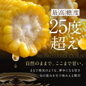 とうもろこし 桃太郎コーン 約4kg 8～12本入り とうもろこし 牛窓産