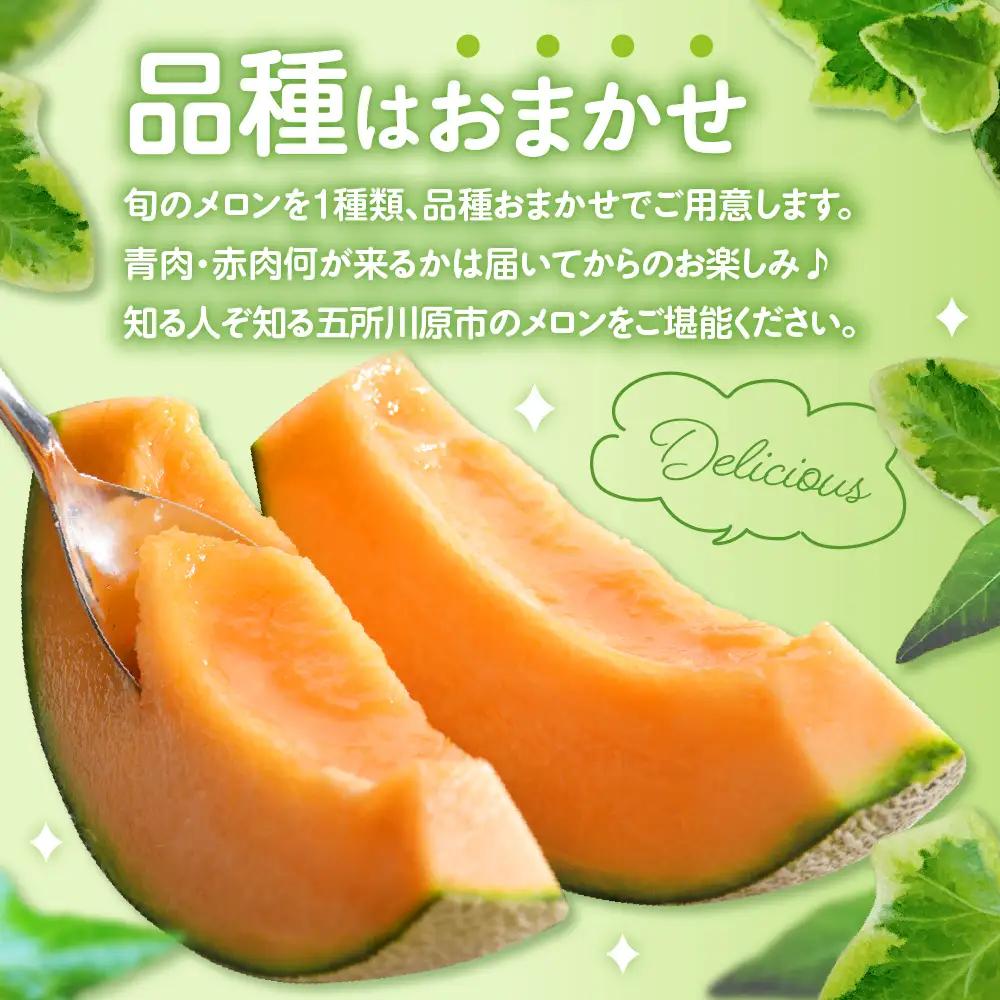 【8月下旬発送】 メロン 大玉 2玉 贈答用 青森県産 メロン