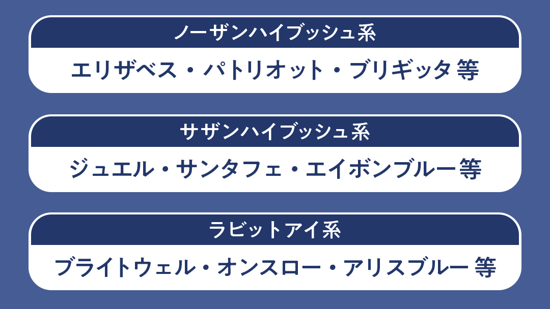 【寄附受付は2025年8月5日まで】 ブルーベリー狩り 体験チケット 《大人１名様プラン お土産付き》 ブルーベリー ベリー 食べ比べ 食べ放題 収穫 収穫体験 体験 チケット 招待券 レジャー 観光