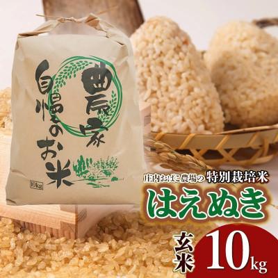 ふるさと納税 鶴岡市 【令和7年産先行予約】庄内おばこ農場の特別栽培米はえぬき玄米10kg[K-775]