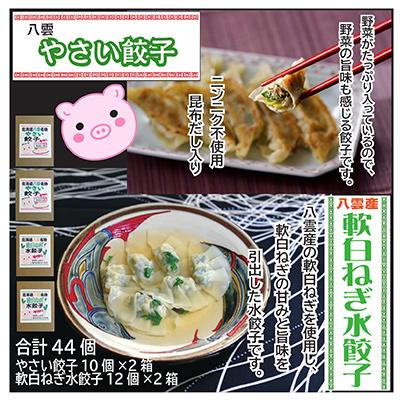 ふるさと納税 八雲町 【先行予約】お酒によく合う　八雲やさい餃子(10個入×2箱)+八雲産軟白ねぎ水餃子(12個入×2箱)