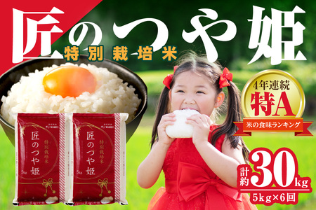 【令和7年産】【定期便】特別栽培米「匠のつや姫」 5kg×6回コース＜7月上旬より配送＞ 定期便 定期便 米 コメ 令和7年産 5キロ 島根 県産 新米 精米 玄米 お米 精米 白米 ごはん ご飯 新生活 準備 【058_1860】