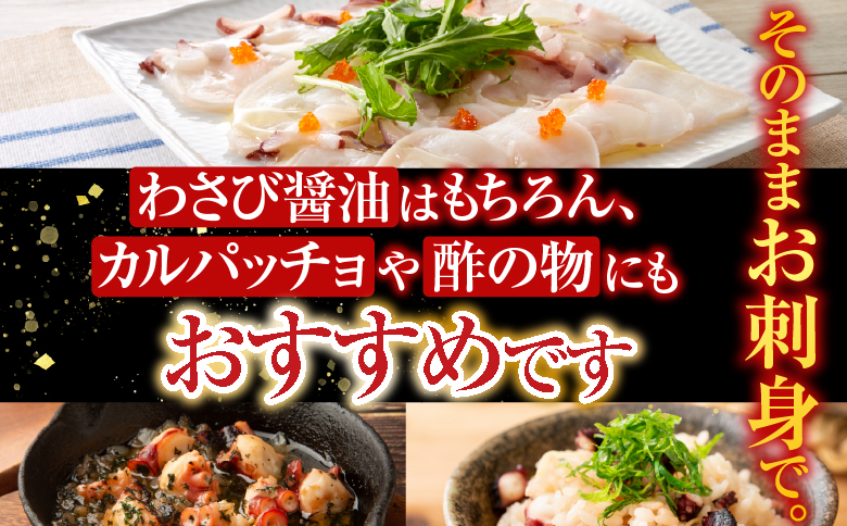 【北海道根室産】たこ足800g前後～1.4kg前後×1本 A-76028