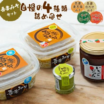 ふるさと納税 長崎県 吾妻みそセット