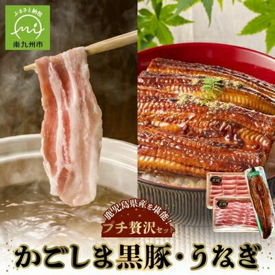 【ふるさと納税】かごしま黒豚しゃぶしゃぶ用2パック・鹿児島県産ウナギ1尾のプチ贅沢セット【配送不可地域：離島】【1185970】