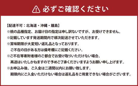 詰合 白桃 2玉 （1玉220g以上） シャインマスカット晴王 2房 （1房480g以上） 化粧箱入り 【2025年7月下旬～8月上旬迄発送予定】 果物 くだもの フルーツ 桃 もも モモ ぶどう ブ