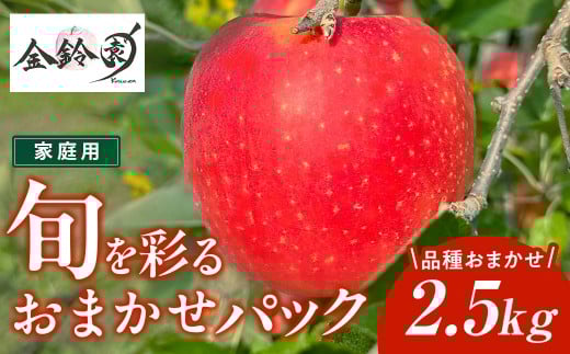 旬を彩るおまかせパック りんご 家庭用 2.5kg ＼12/24までの決済で 年内配送 可能／ 林檎 リンゴ 国産 東北 岩手 産地直送 送料無料 訳あり フルーツ 果物 岩手県 北上市 B0438 金鈴園