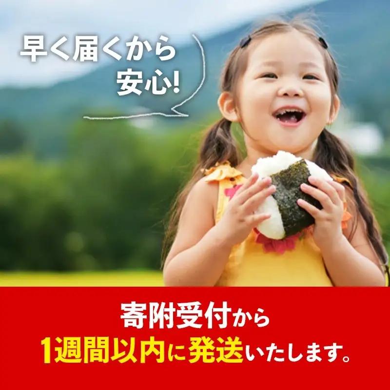 令和7年産【彩のきずな】玄米10kg 色彩選別済 Brown Rice - お米 ごはん