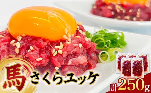 FKP9-617 馬さくら ユッケ 250g (50g×5) 馬肉 小分け 冷凍 九州 熊本県 球磨村