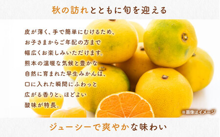 早生みかん　約4.5㎏ 【くまふる】[ZBG082]