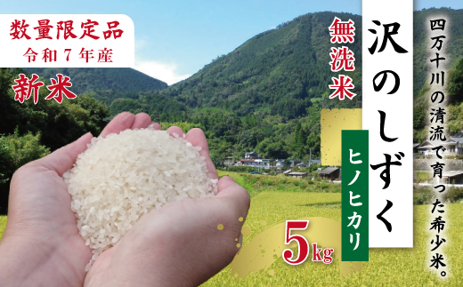 【5kg】令和7年産 米 ヒノヒカリ 無洗米 精米 白米 沢のしずく 5kg×1袋 2025年 四万十市産 国産 ひのひかり おこめ こめ コメ ご飯 ごはん おいしい ふっくら もちもち 高知県 高知 四万十市 四万十 しまんと お取り寄せ
