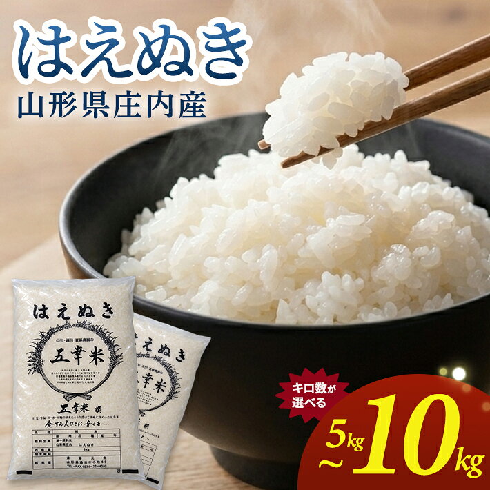 【ふるさと納税】はえぬき 精米 選べる 5kg 10kg 令和8年産 山形県庄内産 東北 山形県 酒田市 庄内地方 庄内平野 庄内米 お米 ごはん ご飯 精米 白米 ブランド米