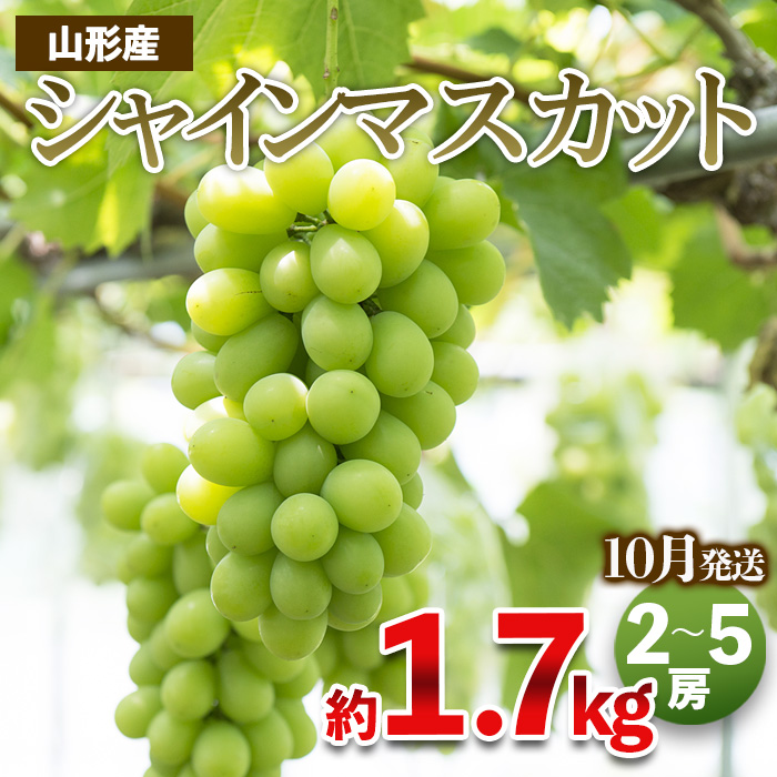 やまがたのぶどう シャインマスカット 秀品 約1.7kg(2～5房程度) [10月発送]　 【令和6年産先行予約】FS23-755