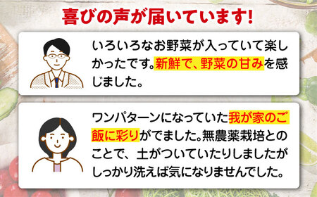 【全12回】根菜×旬野菜 定期便 [AGBX014] 定期便 12回