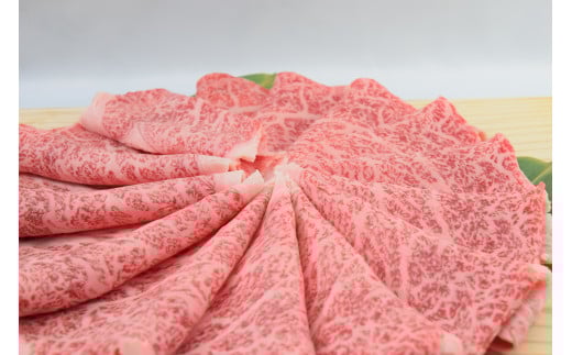 佐賀牛ローススライス しゃぶしゃぶ用 800g （800g×1パック） 149-J675