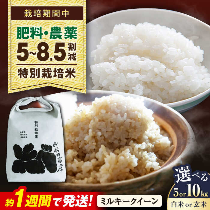 【ふるさと納税】【令和8年産 新米】特別栽培米ミルキークイーン 5kg 10kg 選べる容量/精米方法 白米 玄米 長浜市/株式会社お米の家倉[AQCP019] 米 お米 玄米 5kg 特別栽培 ミルキークイーン 精米 ごはん おにぎり 炊き込みご飯 人気 おすすめ 5キロ 10キロ