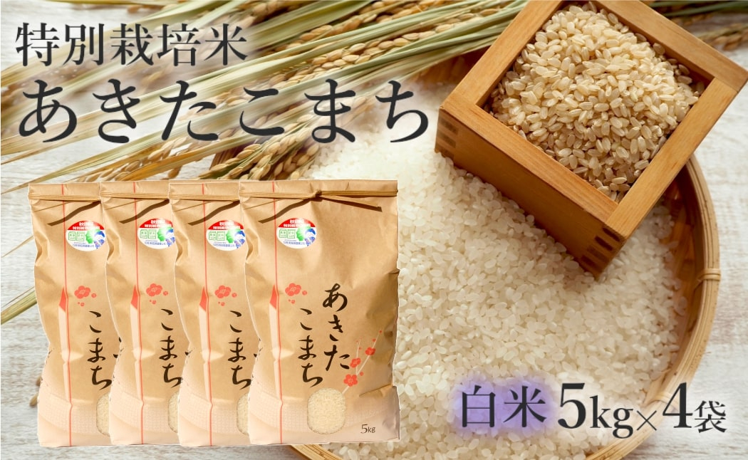 
                  米 あきたこまち 20kg (5kg×4袋) 令和7年産 白米 精米 こめ お米 おこめ 令和7年 特別栽培米 産地直送 ご飯 ごはん 秋田こまち 秋田 秋田県 能代市 特別栽培 減農薬
                
