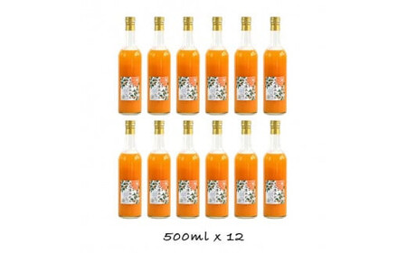 小田原産江之浦みかん１００％ストレートジュース５００ml１２本 【みかんジュース みかんジュース 神奈川県 小田原市 】