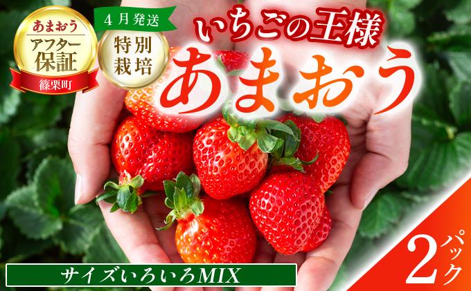福岡県産　特別栽培　あまおう　サイズいろいろMIX　約570g（約285g×2パック）【4月発送】　農園直送　アフター保証 UN007