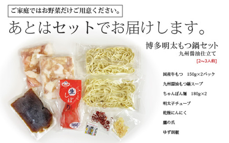 博多明太醤油もつ鍋セット(2～3人前) 4A18-S