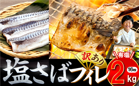 訳あり 塩 サバ 約1.8kg 12枚 冷凍 鯖 塩 サバ 魚 さかな 海鮮 海産物 おかず 鯖ご飯 おすすめ 人気 鯖 魚 魚介 海鮮