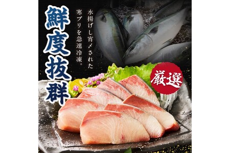 魚屋が捌く寒ブリ約1kg切り身　ロイン（6ブロック）冷凍