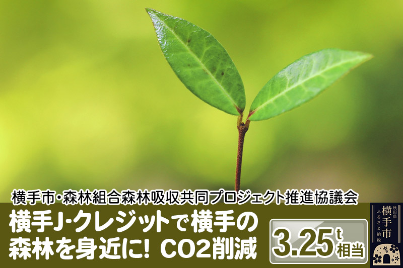 
横手J‐クレジットで横手の森林を身近に! CO2削減 3.25t相当
