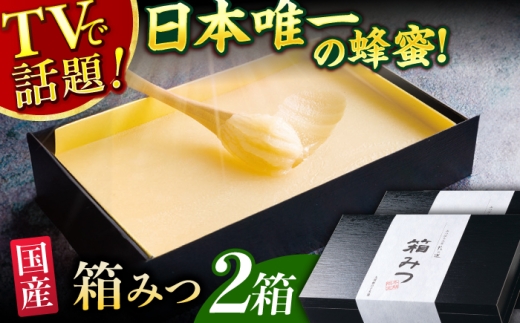 【先行受付 令和7年12月より発送】箱みつ 2個セット 合計800g (400g×2個) 蜂蜜 はちみつ ハチミツ 高級 濃厚 バター ハニー クリーム 箱蜜 蜂蜜 広川町 / 株式会社九州蜂の子本舗 [AFAI016]