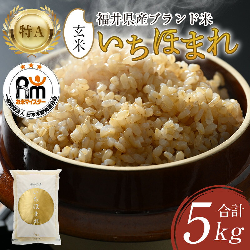 【ふるさと納税】【先行予約】【令和8年産】いちほまれ 玄米 5kg×1袋《お米マイスター厳選！新鮮な高品質米をお届け！》／ 福井県産 ブランド米 ご飯 新米 ※2026年9月下旬以降順次発送予定