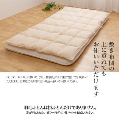 ふるさと納税 富士吉田市 ダウン敷きパッド シングル アイボリー 日本製 敷パッド 敷きパット 国産【甲州羽毛ふとん】 |  | 03