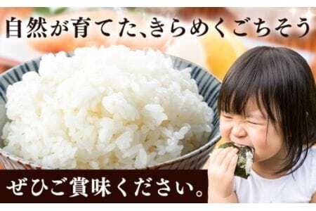 米 こめ 岩出市応援米 約5kg 《30日以内に出荷予定(土日祝除く)》 米米米