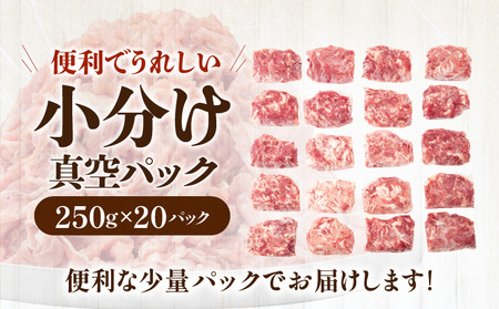 宮崎県産豚肉切り落とし(250g×20 計5kg)【豚肉 豚肉切り落とし 宮崎県産豚肉 小分け】