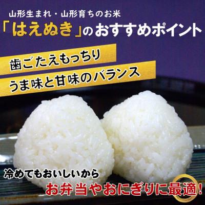 ふるさと納税 飯豊町 はえぬき玄米10kg　山形県飯豊町産 |  | 01