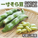 【ふるさと納税】そら豆(一寸豆) 2kg ホクホク食感が絶品 和歌山県産【配送不可地域：北海道、沖縄、離島】