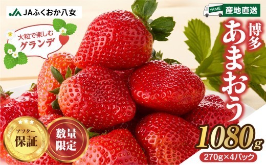 【先行受付：2027年2月発送開始】博多あまおうＧ270g×4パック｜JAふくおか八女 あまおう いちご 苺 イチゴ フルーツ 果物 くだもの 人気 旬 福岡県産 大粒 アフター補償 数量限定 期間限定 産地直送 グランデ 福岡県 八女市